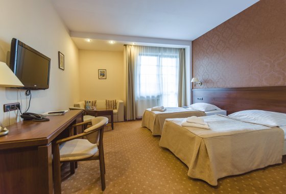 hotel *** - Hotel*** Dziki Potok Konferencje&SPA - Pokoje - zdjęcie 37