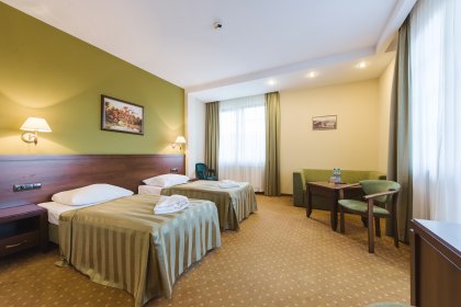 hotel *** - Hotel*** Dziki Potok Konferencje&SPA - zdjęcie 53