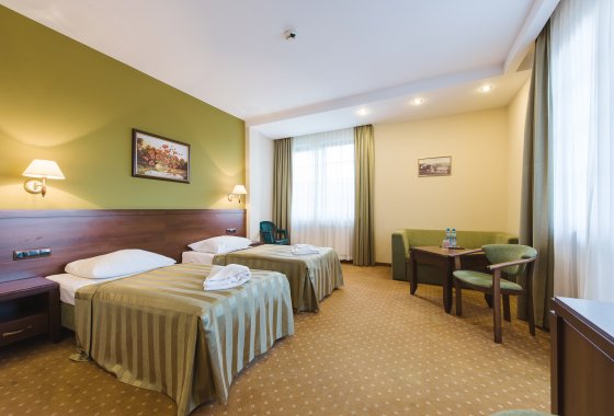 hotel *** - Hotel*** Dziki Potok Konferencje&SPA - Pokoje - zdjęcie 36