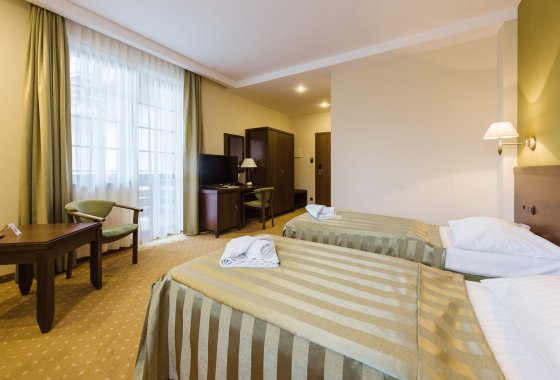 hotel *** - Hotel*** Dziki Potok Konferencje&SPA - Pokoje - zdjęcie 35