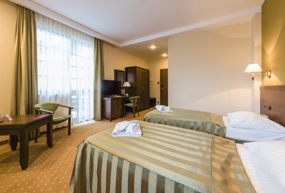 hotel *** - Hotel*** Dziki Potok Konferencje&SPA - Pokoje - zdjęcie 23