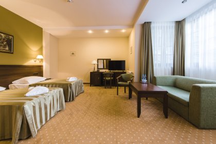 hotel *** - Hotel*** Dziki Potok Konferencje&SPA - zdjęcie 50