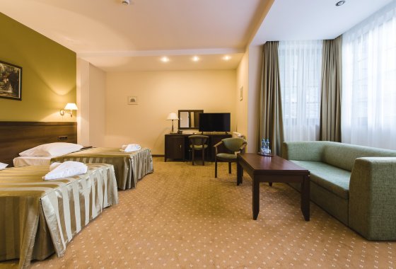hotel *** - Hotel*** Dziki Potok Konferencje&SPA - Pokoje - zdjęcie 22