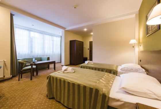 hotel *** - Hotel*** Dziki Potok Konferencje&SPA - Pokoje - zdjęcie 21