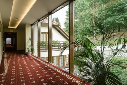hotel *** - Hotel*** Dziki Potok Konferencje&SPA - zdjęcie 48