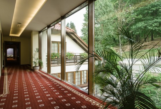 hotel *** - Hotel*** Dziki Potok Konferencje&SPA - Pokoje - zdjęcie 9