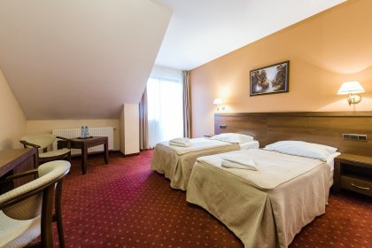 hotel *** - Hotel*** Dziki Potok Konferencje&SPA - zdjęcie 47