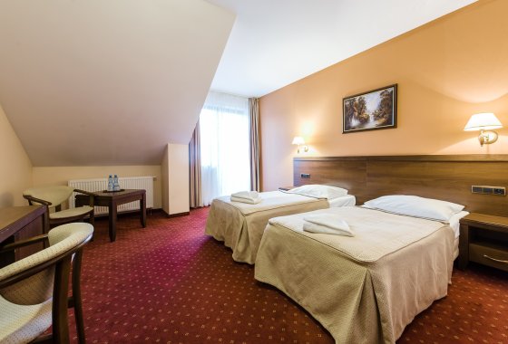 hotel *** - Hotel*** Dziki Potok Konferencje&SPA - Pokoje - zdjęcie 8