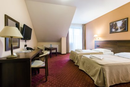 hotel *** - Hotel*** Dziki Potok Konferencje&SPA - zdjęcie 46