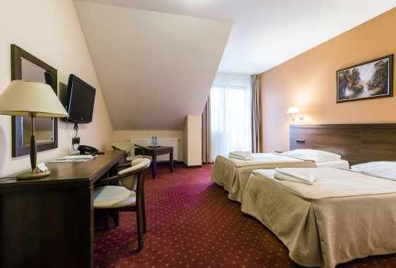 hotel *** - Hotel*** Dziki Potok Konferencje&SPA - Pokoje - zdjęcie 7