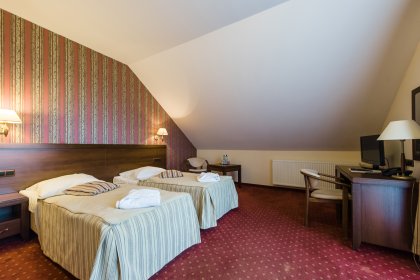 hotel *** - Hotel*** Dziki Potok Konferencje&SPA - zdjęcie 30