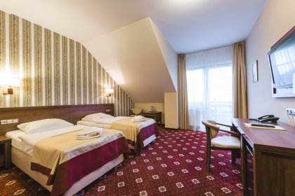 hotel *** - Hotel*** Dziki Potok Konferencje&SPA - zdjęcie 29