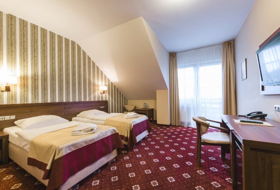 hotel *** - Hotel*** Dziki Potok Konferencje&SPA - Pokoje - zdjęcie 3