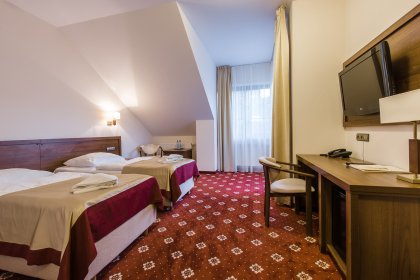 hotel *** - Hotel*** Dziki Potok Konferencje&SPA - zdjęcie 15