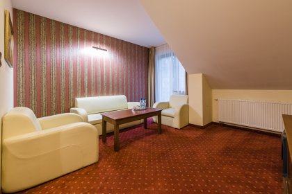 hotel *** - Hotel*** Dziki Potok Konferencje&SPA - zdjęcie 16