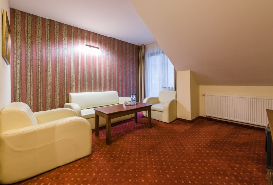 hotel *** - Hotel*** Dziki Potok Konferencje&SPA - Pokoje - zdjęcie 10