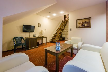 hotel *** - Hotel*** Dziki Potok Konferencje&SPA - zdjęcie 17