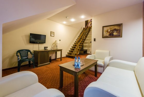 hotel *** - Hotel*** Dziki Potok Konferencje&SPA - Pokoje - zdjęcie 11
