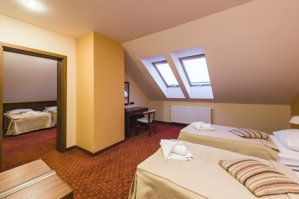 hotel *** - Hotel*** Dziki Potok Konferencje&SPA - zdjęcie 18