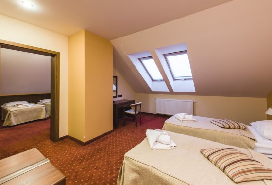 hotel *** - Hotel*** Dziki Potok Konferencje&SPA - Pokoje - zdjęcie 12