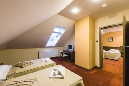 hotel *** - Hotel*** Dziki Potok Konferencje&SPA - zdjęcie 19
