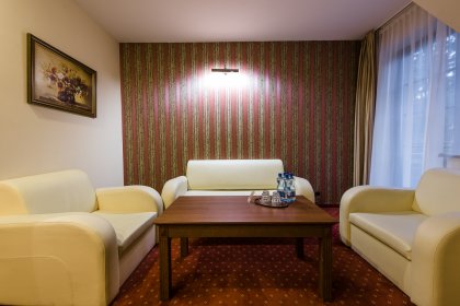 hotel *** - Hotel*** Dziki Potok Konferencje&SPA - zdjęcie 20