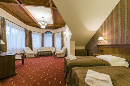 hotel *** - Hotel*** Dziki Potok Konferencje&SPA - zdjęcie 21
