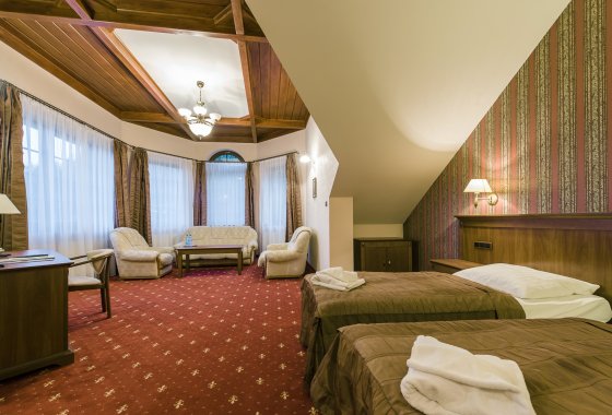 hotel *** - Hotel*** Dziki Potok Konferencje&SPA - Pokoje - zdjęcie 18