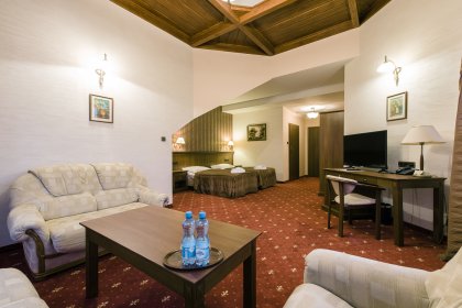 hotel *** - Hotel*** Dziki Potok Konferencje&SPA - zdjęcie 22