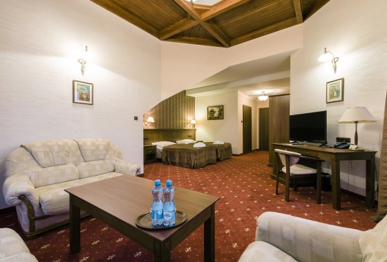 hotel *** - Hotel*** Dziki Potok Konferencje&SPA - Pokoje - zdjęcie 17
