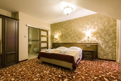 hotel *** - Hotel*** Dziki Potok Konferencje&SPA - zdjęcie 25