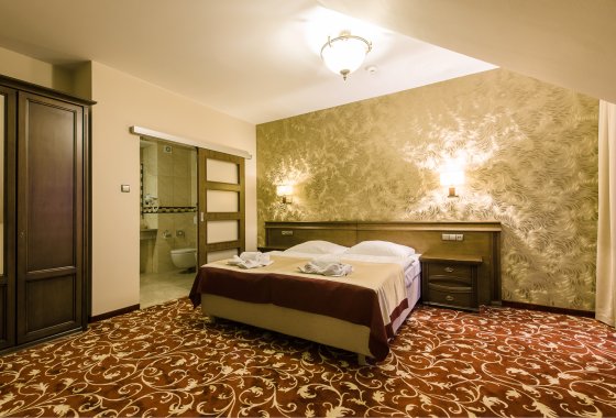 hotel *** - Hotel*** Dziki Potok Konferencje&SPA - Pokoje - zdjęcie 14