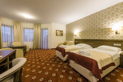 hotel *** - Hotel*** Dziki Potok Konferencje&SPA - zdjęcie 26
