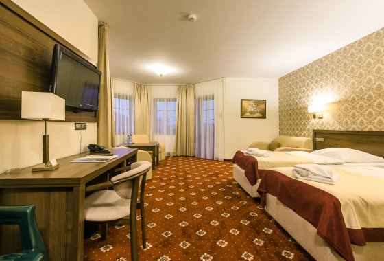 hotel *** - Hotel*** Dziki Potok Konferencje&SPA - Pokoje - zdjęcie 1