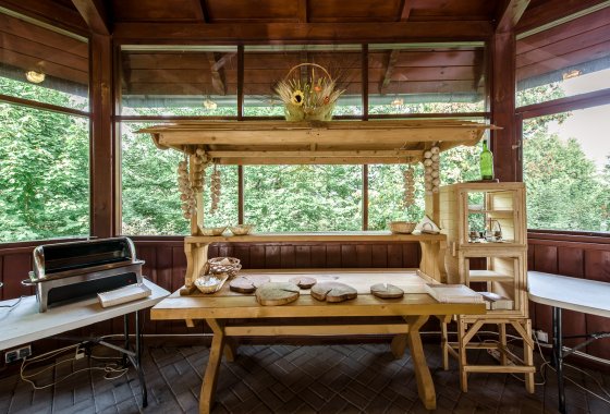 hotel *** - Hotel*** Dziki Potok Konferencje&SPA - Usługi - zdjęcie 30