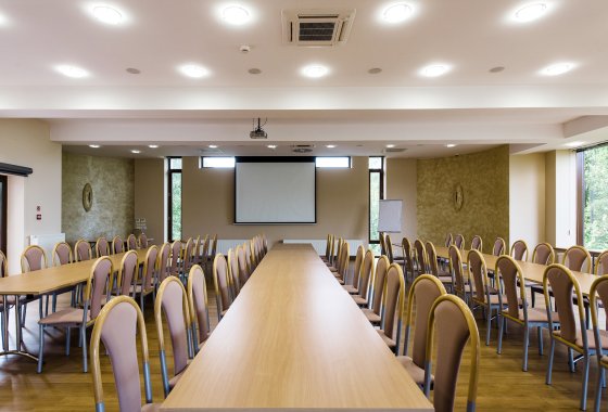 hotel *** - Hotel*** Dziki Potok Konferencje&SPA - Usługi - zdjęcie 33
