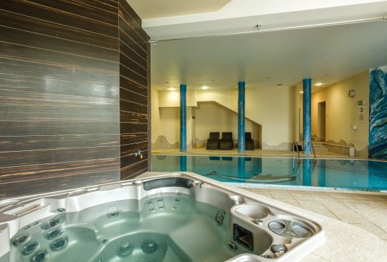 hotel *** - Hotel*** Dziki Potok Konferencje&SPA - Usługi - zdjęcie 7