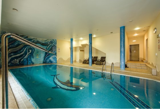 hotel *** - Hotel*** Dziki Potok Konferencje&SPA - Usługi - zdjęcie 6