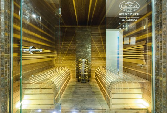 hotel *** - Hotel*** Dziki Potok Konferencje&SPA - Usługi - zdjęcie 5