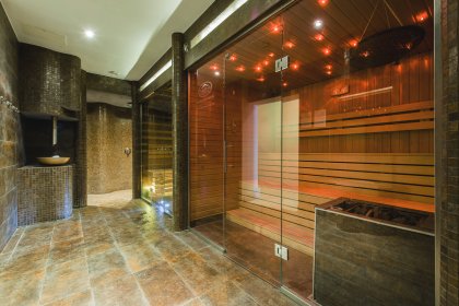 hotel *** - Hotel*** Dziki Potok Konferencje&SPA - zdjęcie 72