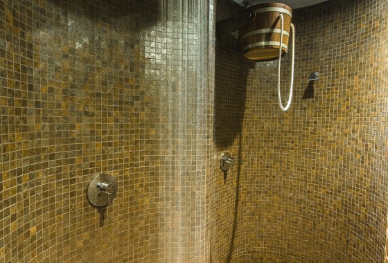 hotel *** - Hotel*** Dziki Potok Konferencje&SPA - Usługi - zdjęcie 2