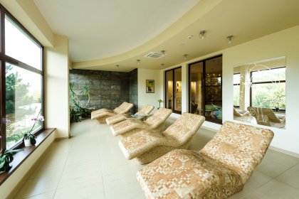 hotel *** - Hotel*** Dziki Potok Konferencje&SPA - zdjęcie 58