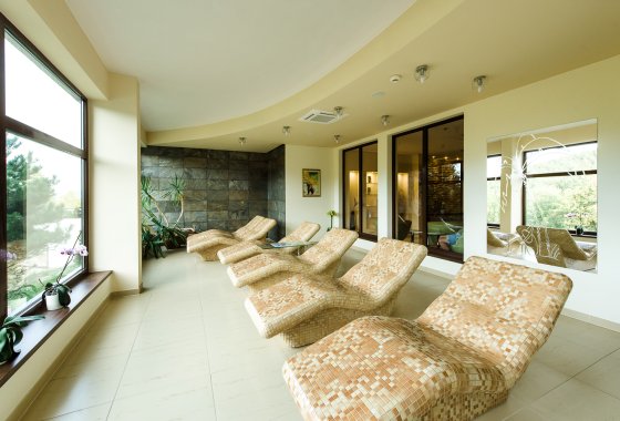 hotel *** - Hotel*** Dziki Potok Konferencje&SPA - Usługi - zdjęcie 20