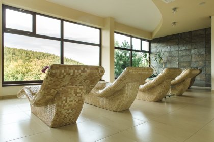 hotel *** - Hotel*** Dziki Potok Konferencje&SPA - zdjęcie 64