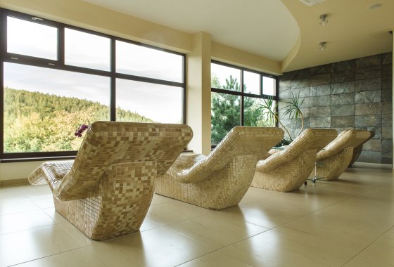 hotel *** - Hotel*** Dziki Potok Konferencje&SPA - Usługi - zdjęcie 19