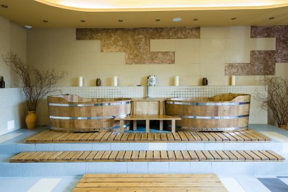 hotel *** - Hotel*** Dziki Potok Konferencje&SPA - zdjęcie 65