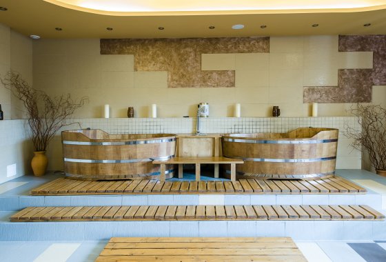 hotel *** - Hotel*** Dziki Potok Konferencje&SPA - Usługi - zdjęcie 18