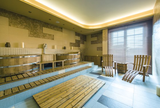 hotel *** - Hotel*** Dziki Potok Konferencje&SPA - Usługi - zdjęcie 17