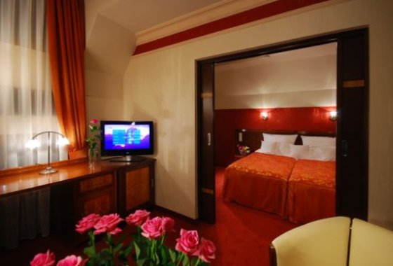 hotel *** - Hotel Victoria Włocławek - Pokoje - zdjęcie 4