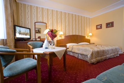 hotel *** - Pensjonat Karkonoski - zdjęcie 13